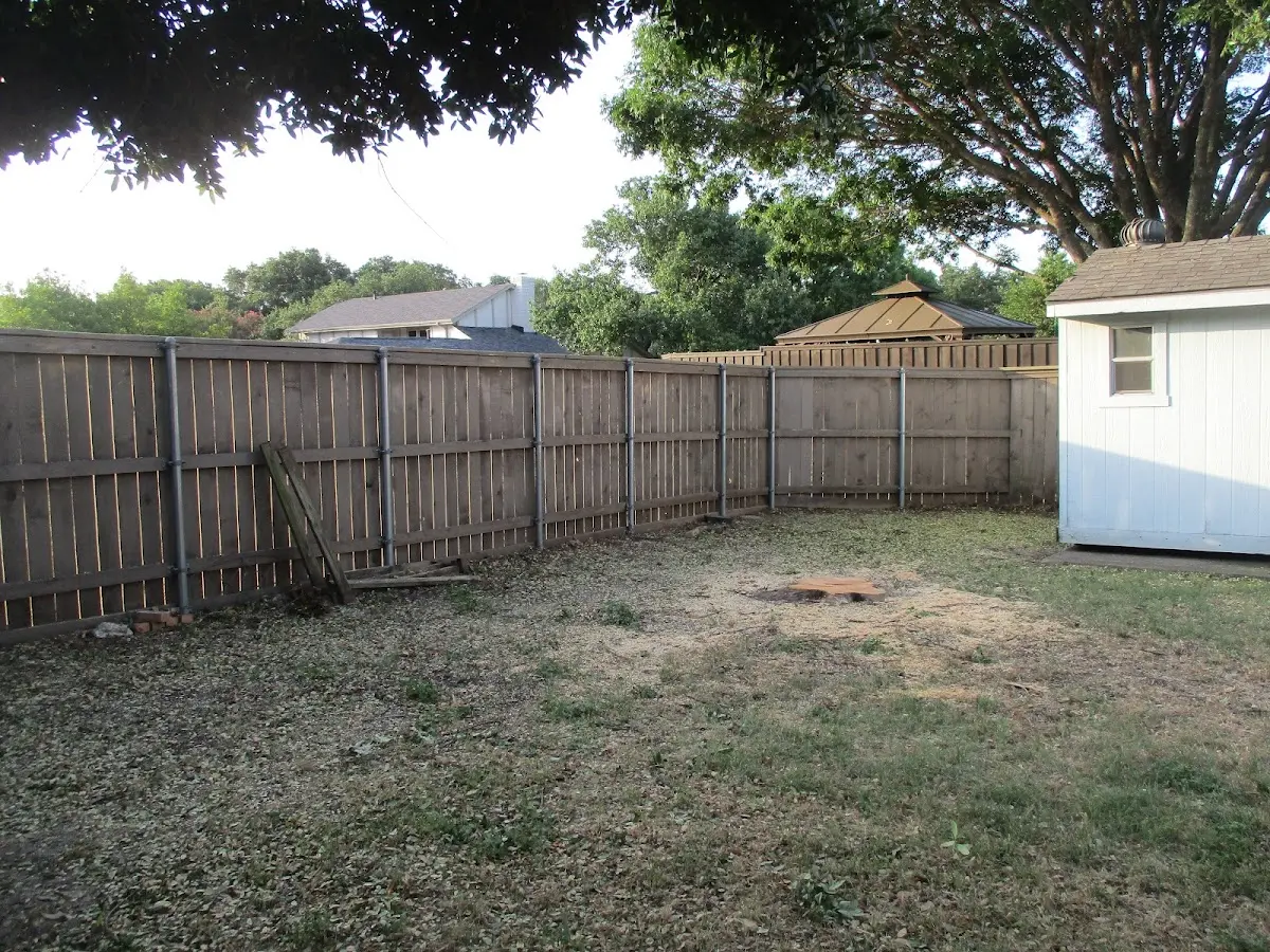 Cleared yard after professional tree removal in Lake City